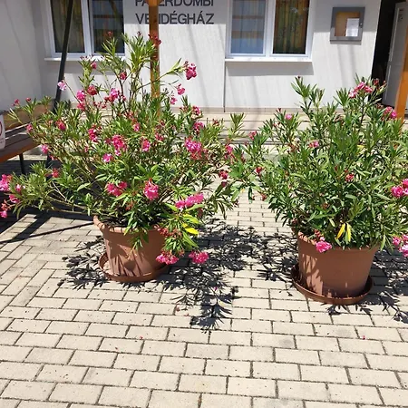 Paterdombi Vendeghaz Zalaegerszeg