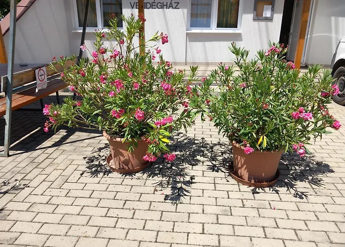 Paterdombi Vendeghaz Zalaegerszeg